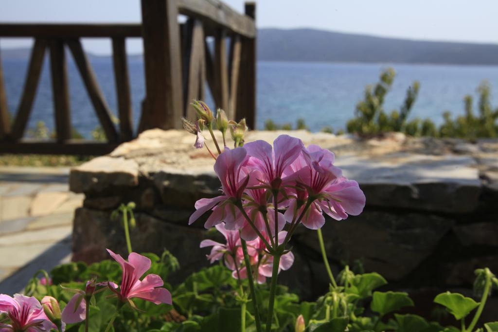 Apartamento Casa Kalypso Steni Vala Alonissos Exterior foto